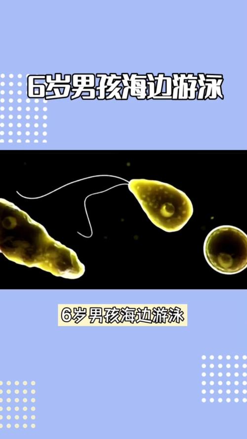 5岁女童感染食脑虫,钓鱼会感染食脑虫吗?