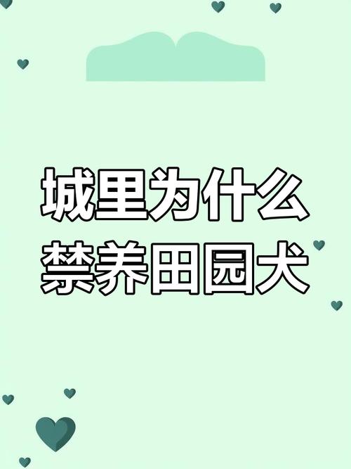 解除禁养中华田园犬,中华田园犬禁养怎么办?