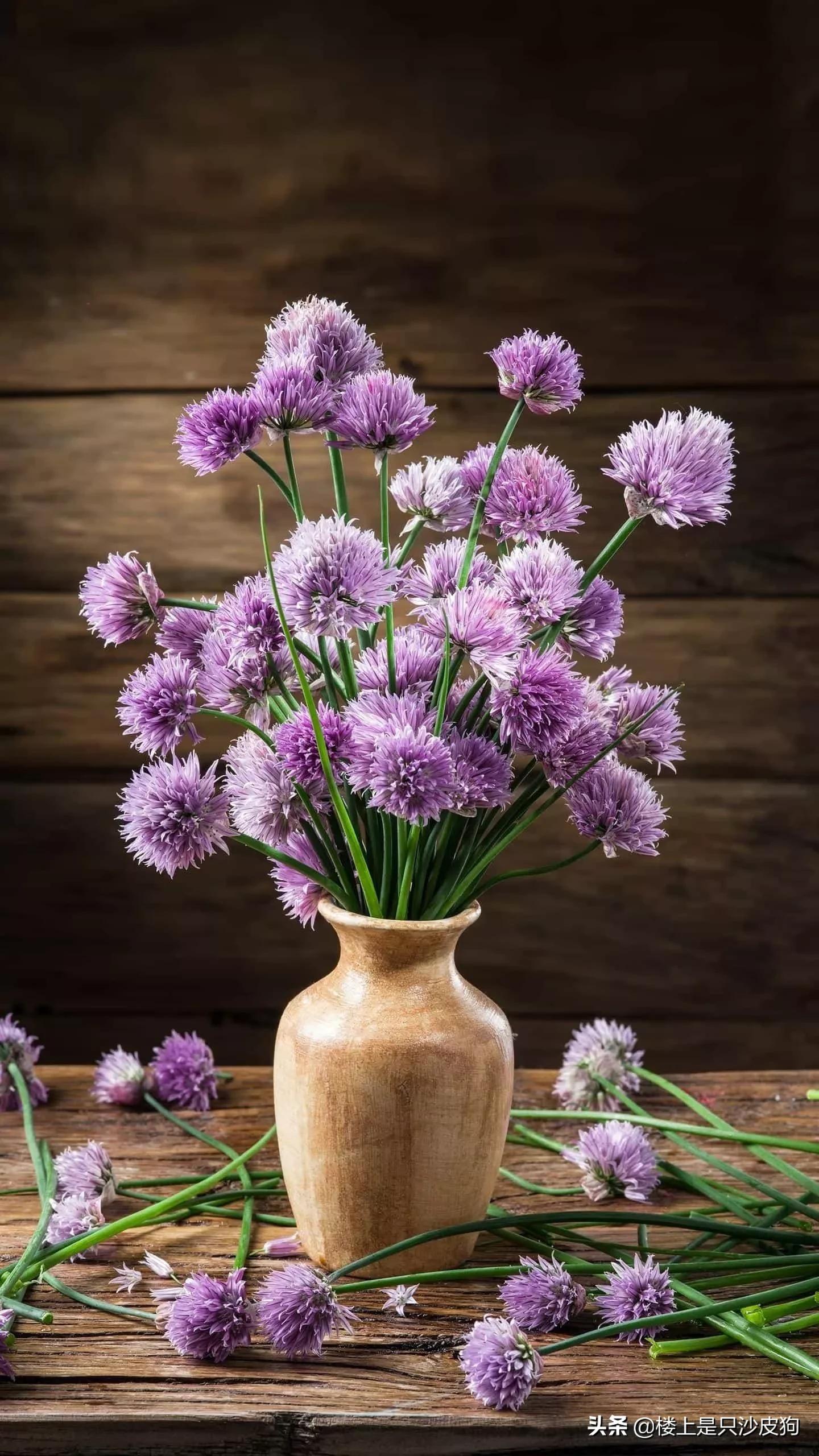 微信办公违规被处理,企业微信违规怎么解决？