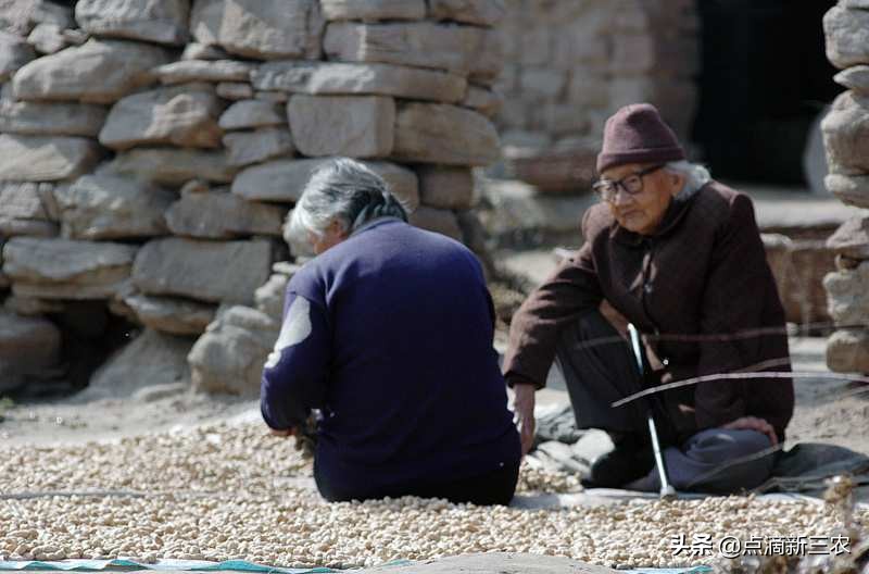 净水器骗局曝光,净水器骗局曝光了吗