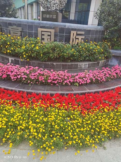 小米员工公寓1999,太原小米国际三期公寓公摊大吗?