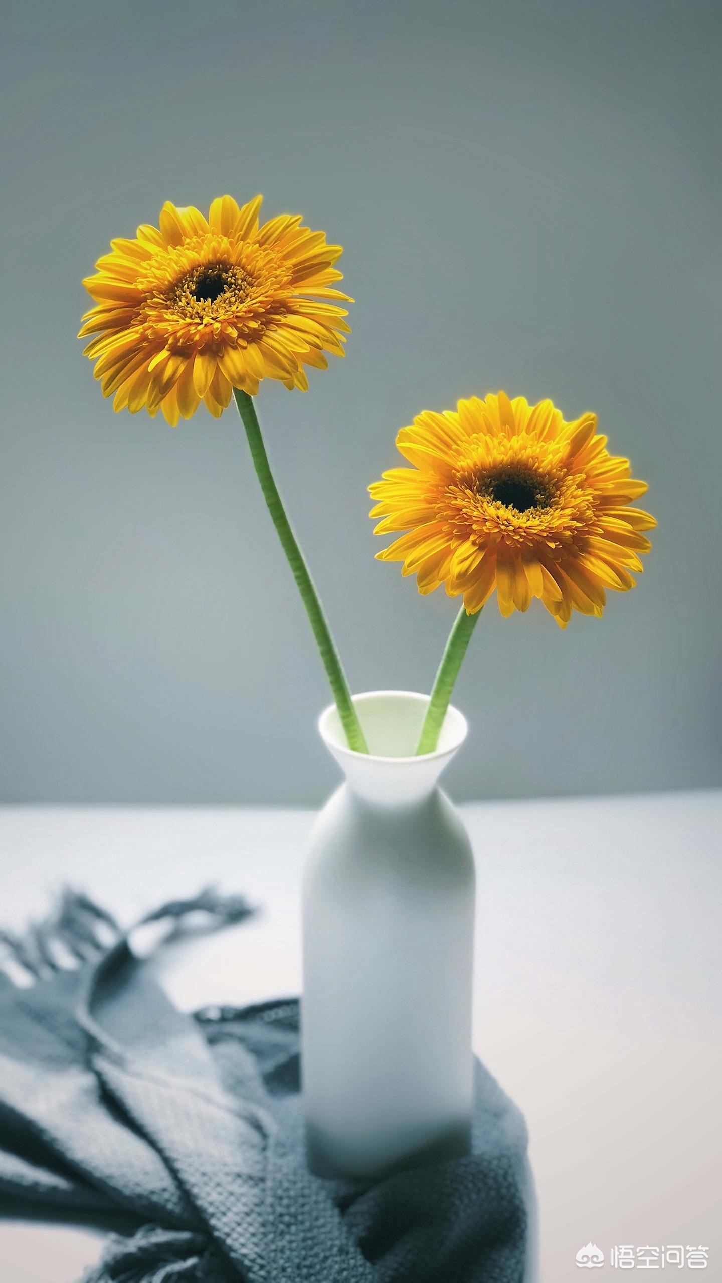 净水器骗局曝光,净水器为什么有人说是骗局?美的、小米、汉斯顿净水器好用吗? 净水器骗局曝光,净水器为什么有人说是骗局?美的、小米、汉斯顿净水器好用吗?