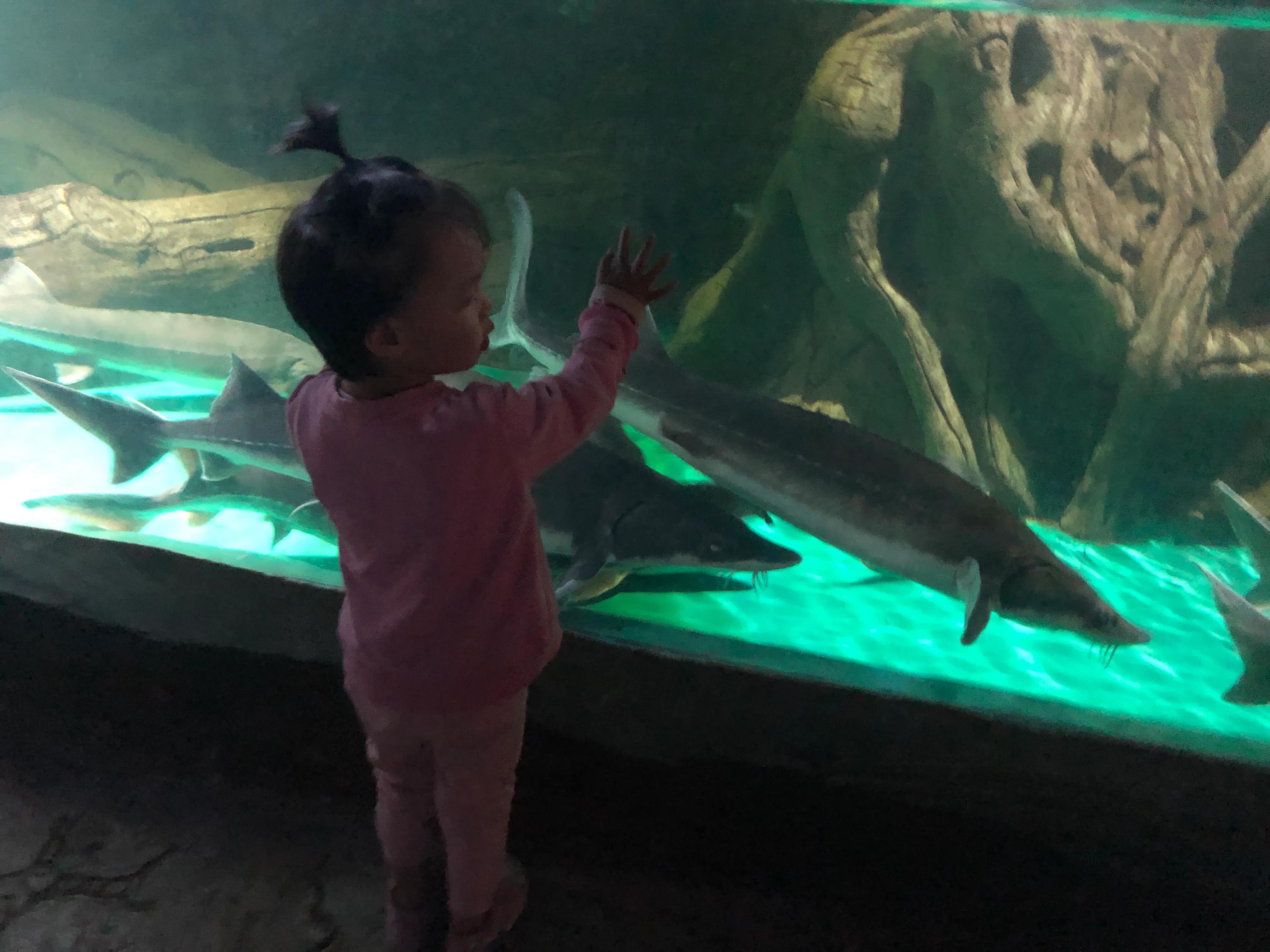 开车看手机致3死,考科三为什么不能带手机？