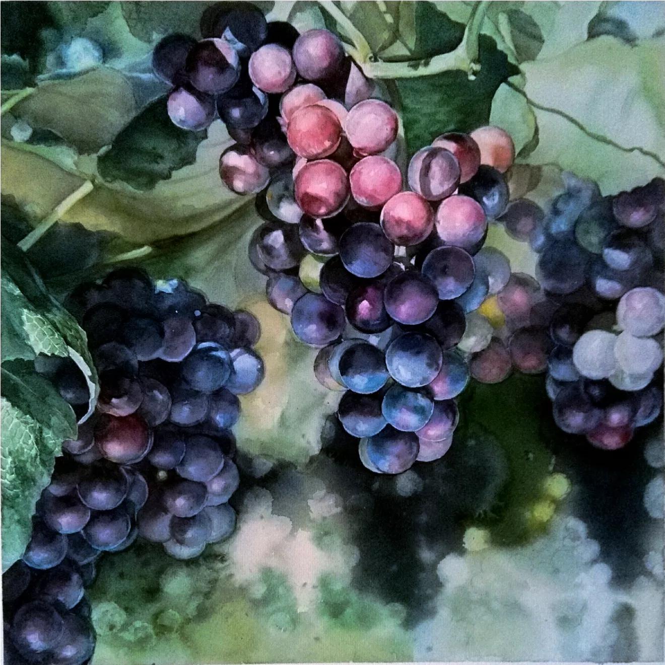 小S女儿画作卖百万,小s女儿画画