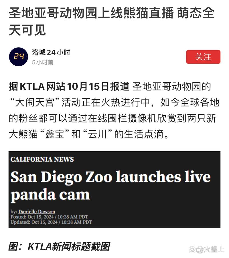 造谣熊猫受虐圈20万,造谣熊猫受虐圈20万是真的吗