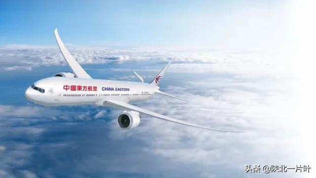 波音737客机险坠毁, 波音737客机险坠毁,