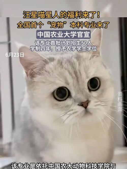 首个宠物本科专业,宠物医学专业是文科还是理科?