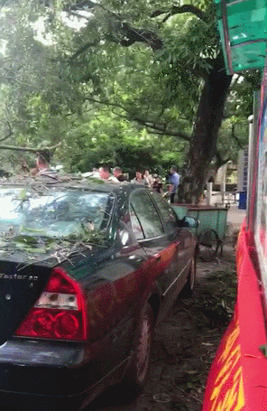 5层楼因暴雨垮塌,5层楼因暴雨垮塌怎么办
