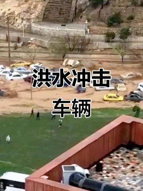 暴雨中被司机扔半路,暴雨中被司机扔半路怎么办