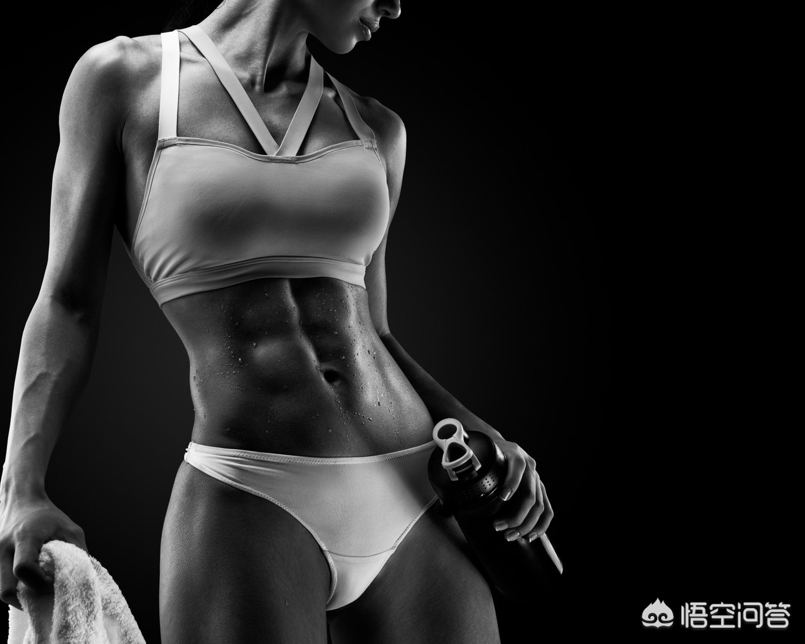 小孩哥一身腱子肉,拉布拉多怎样养成一身腱子肉？