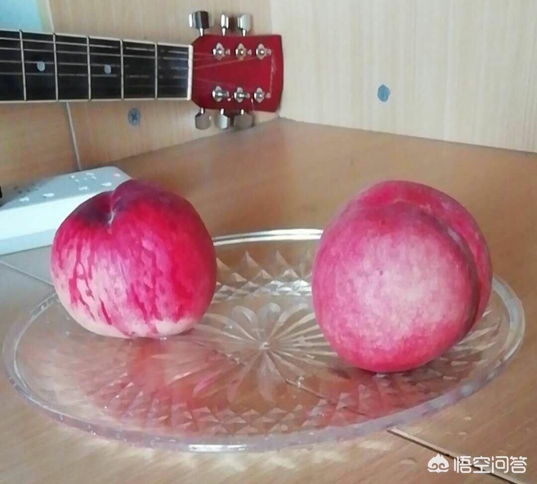 唐僧肉真的好吃吗,猪八戒的肉好吃还是唐僧的肉好吃？