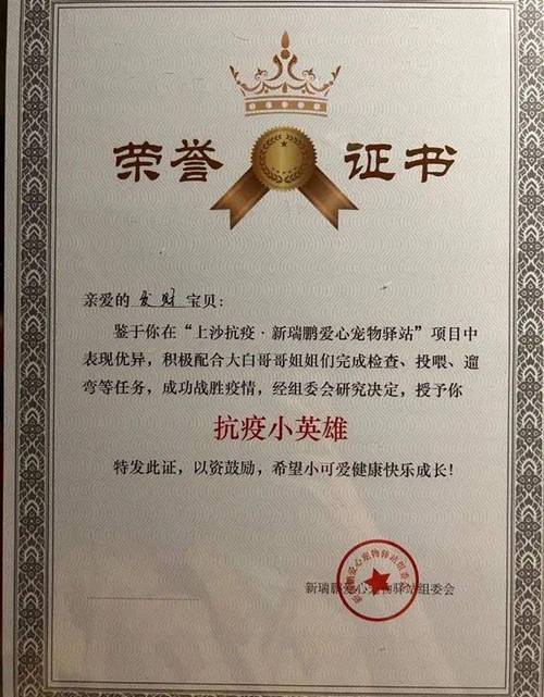 村里每年给狗发奖状,村里每年给狗发奖状违法吗