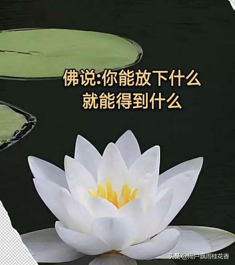 村里每年给狗发奖状,村里每年给狗发奖状违法吗 村里每年给狗发奖状,村里每年给狗发奖状违法吗