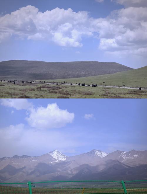 青海一草原7月下雪,青海七月下雪