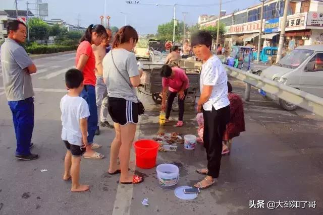 抓知了一天净赚2000,抓知了赚钱吗