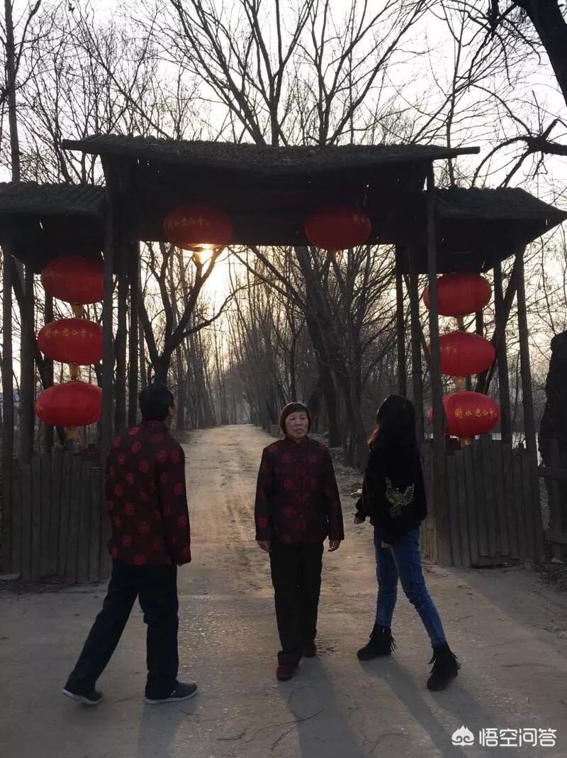 为了气妈妈不结婚,为了气妈妈不结婚怎么办