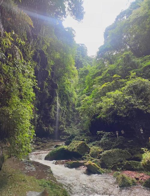 四川雅安发生泥石流,雅安泥石流碧峰峡还能去吗?