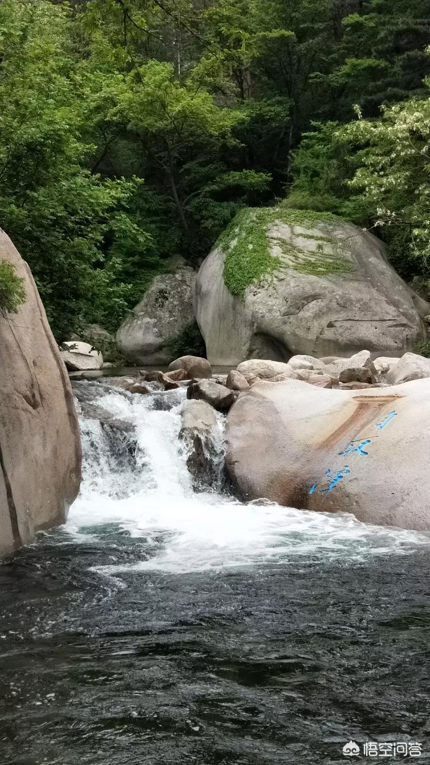 青岛高温黄色预警,青岛热天高温一般是多少号？