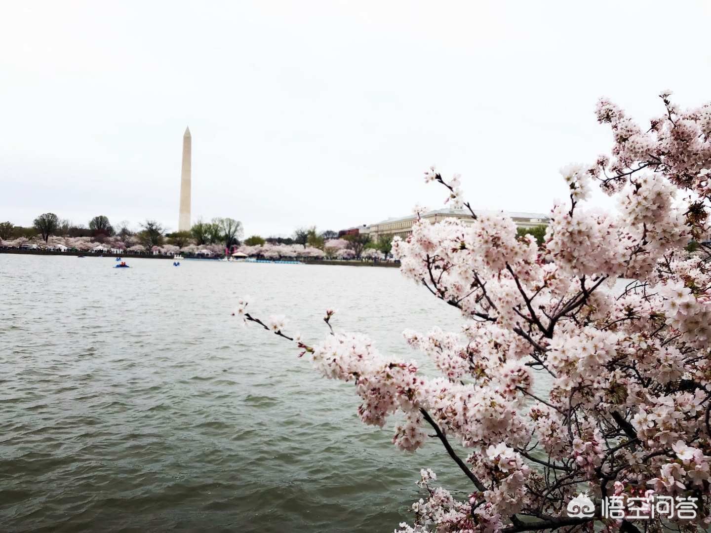 废话多的人更幸福,废话越多幸福感越强是什么理论？