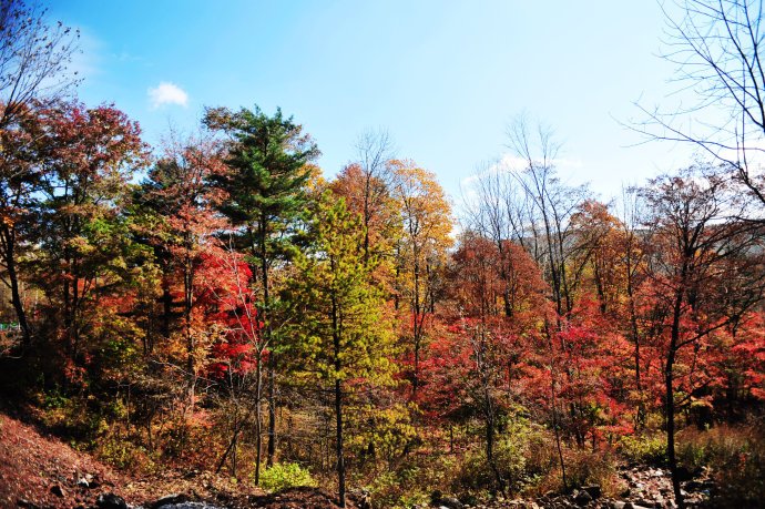 老人被巨蟒吞食而亡,伊春有哪些都市或者历史传说？