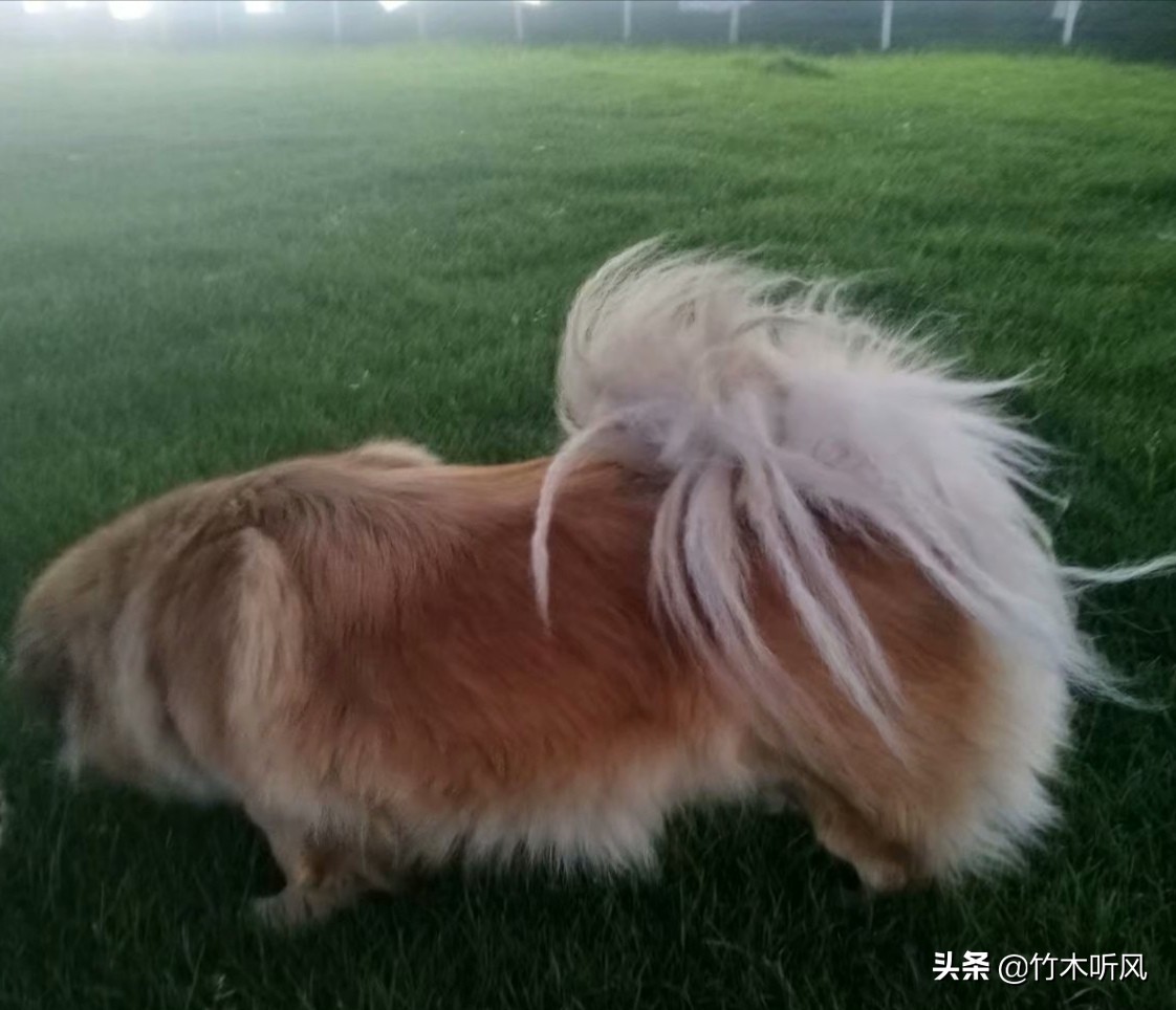 没觉得热也可能中暑,冷热都会中暑什么原因？