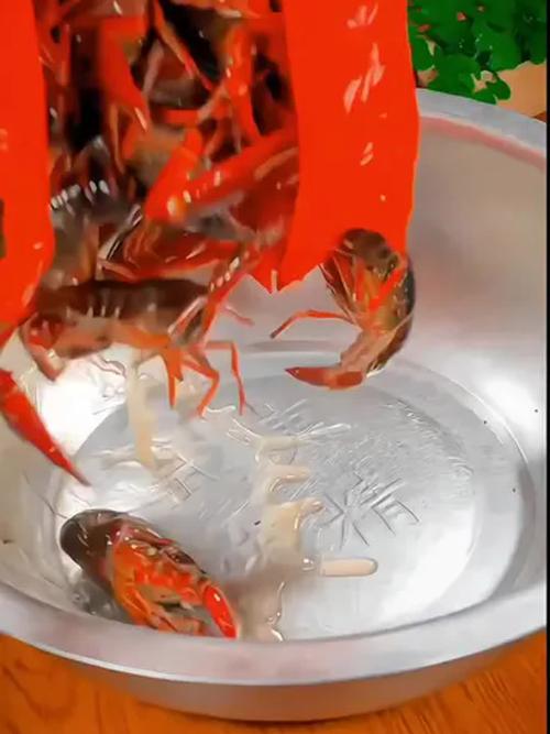 草酸洗虾多日不换水,虾网清洗剂是什么成分?