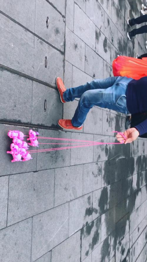 男子街头遛猪引围观,遛猪大赛规则?