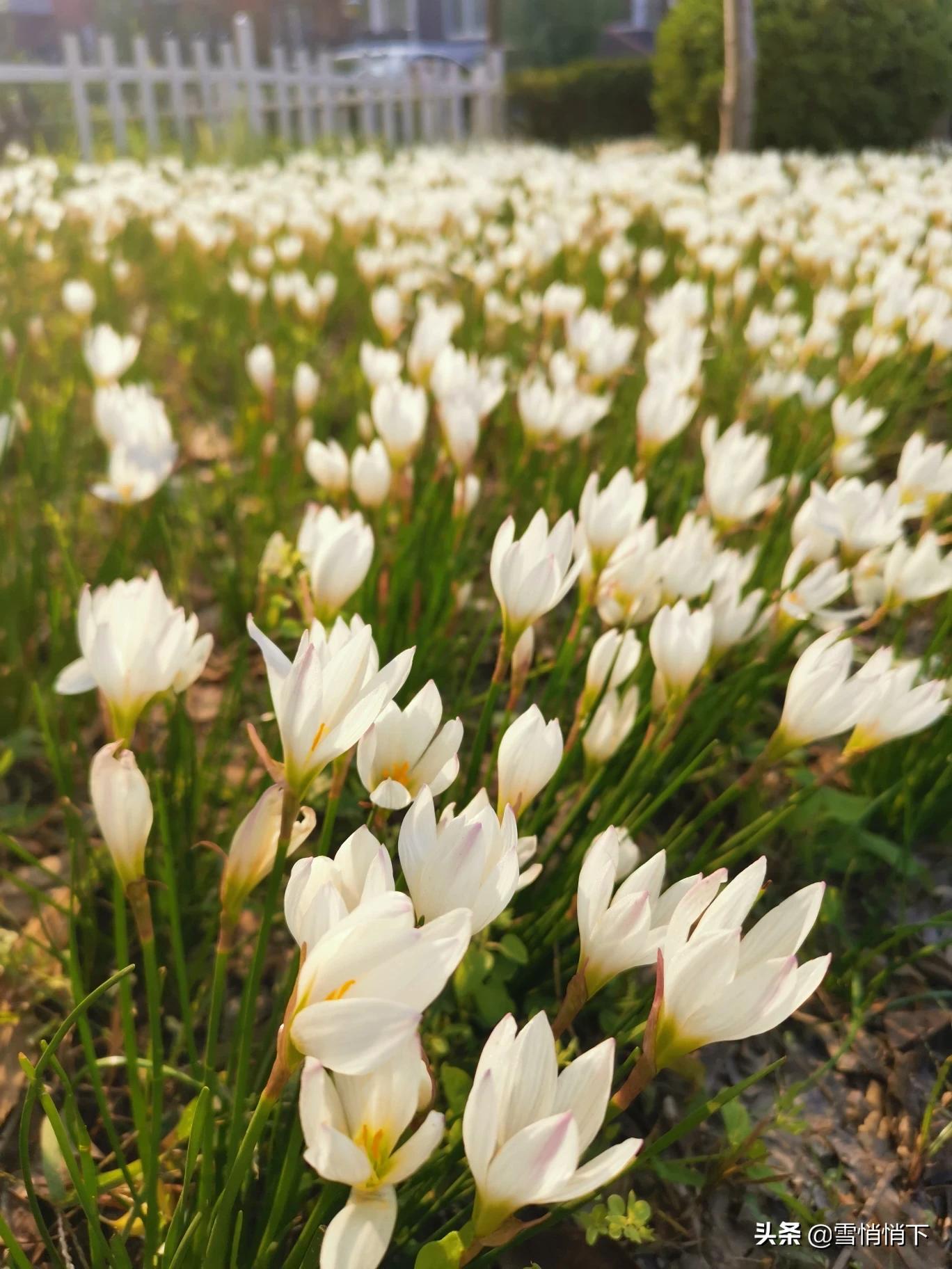 女子吃醋殴打2闺蜜,女朋友闺蜜吃醋了怎么办？