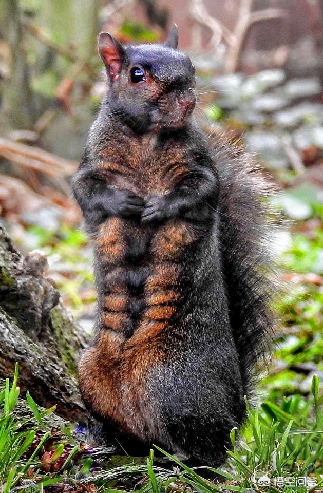 健身喊被健身房拉黑,健身房拉人