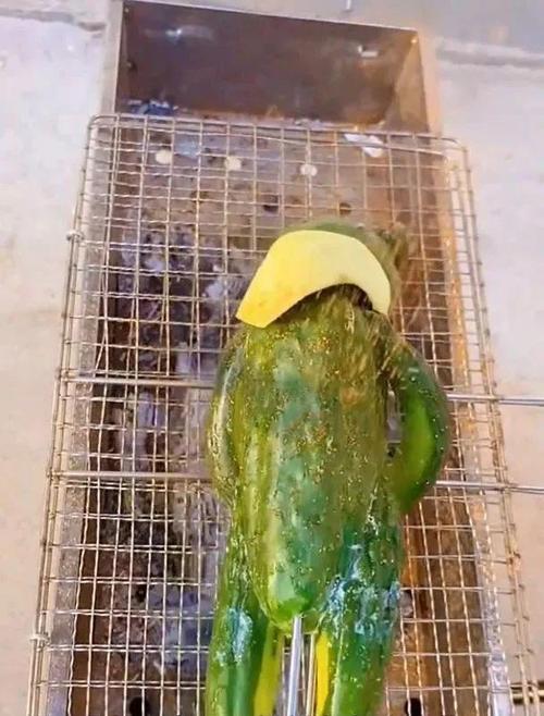 卖烤青菜被要求整改,我烤的蔬菜总是会烤糊,怎么烤才能不糊还好吃呀?