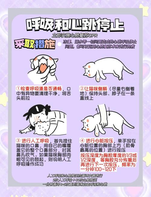 住全季半夜被老鼠咬,睡着了老鼠为什么会跑到床上咬我?