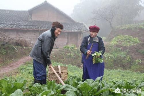 大爷写我的母亲爆火,妈妈的大爷我该咋称呼呢? 大爷写我的母亲爆火,妈妈的大爷我该咋称呼呢?