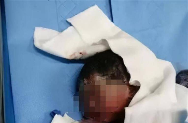 家中产子后扔垃圾桶,家中产子后扔垃圾桶好吗