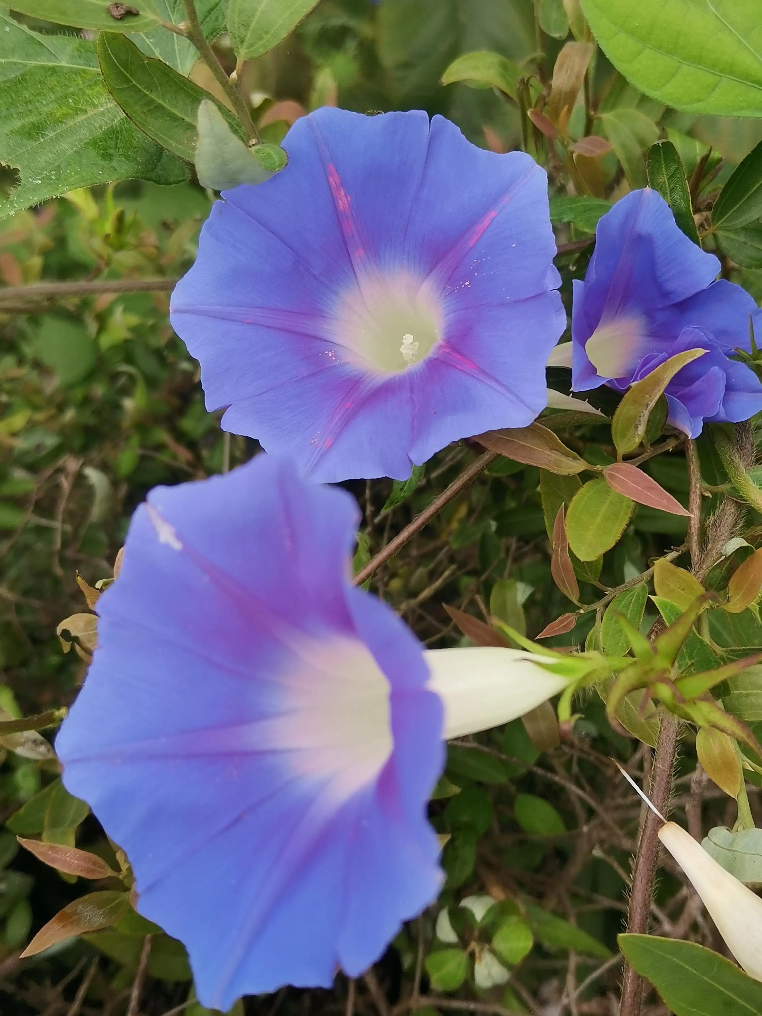 因妻抱怨生闷气患癌,生气多久会得癌症? 因妻抱怨生闷气患癌,生气多久会得癌症?