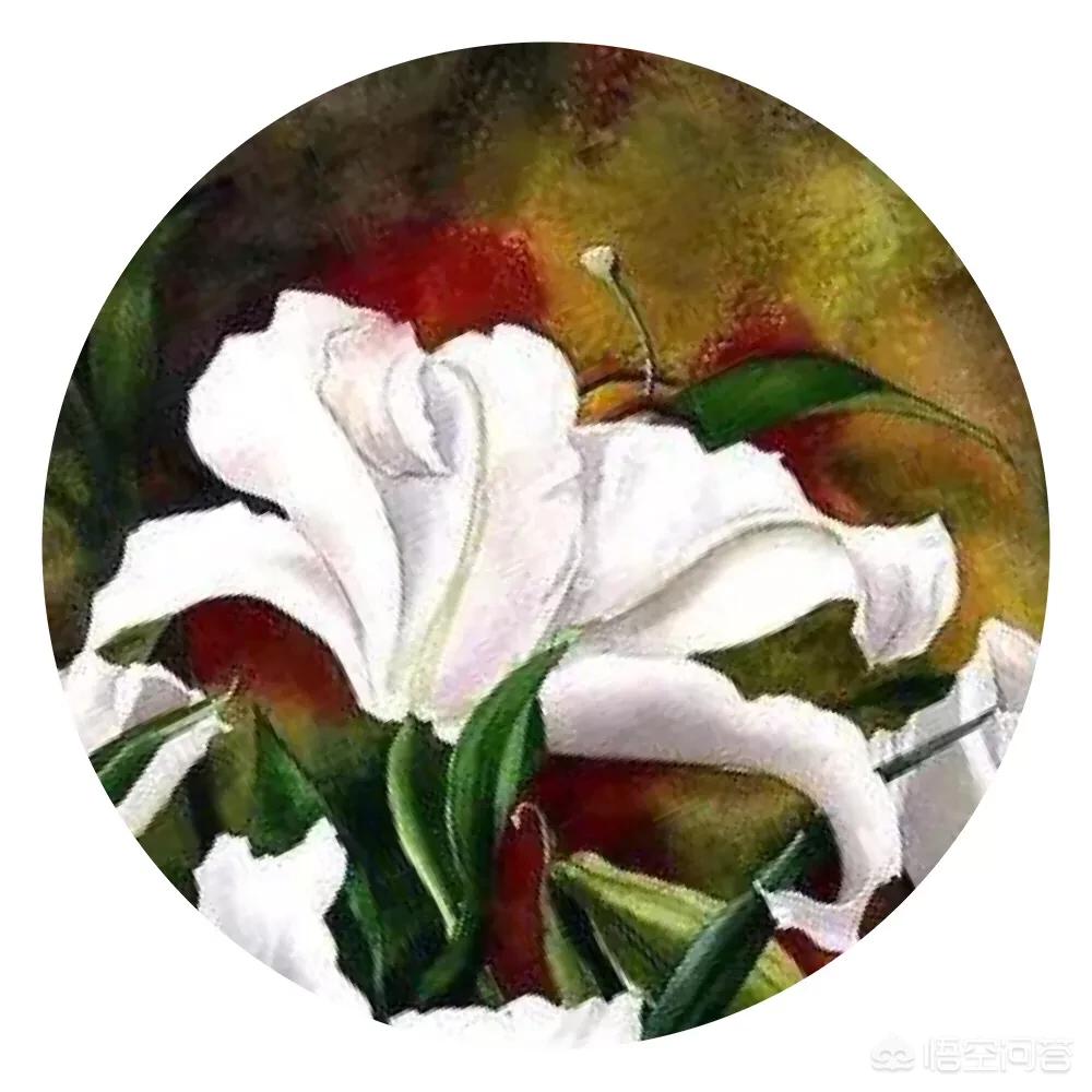 8岁女童被撞身亡,8岁女孩车祸