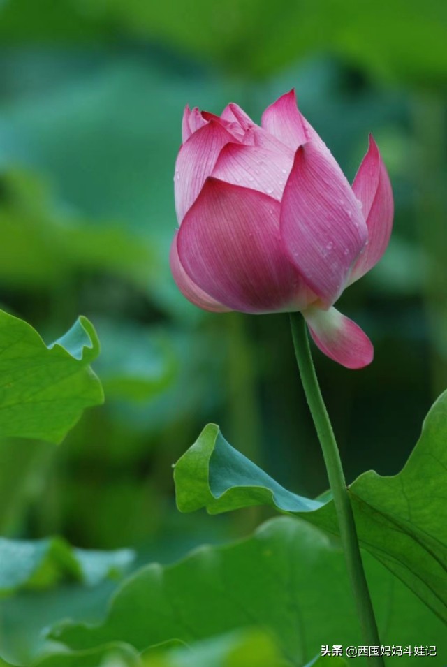 痛经去医院结果生了,痛经生完孩子就不疼了吗 痛经去医院结果生了,痛经生完孩子就不疼了吗