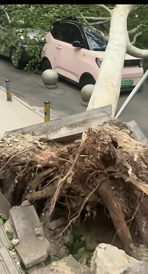 男子砸记者采访设备,百叶窗掉落,宁波一小区住户被砸伤,记者采访也差点被砸, 你怎么看?