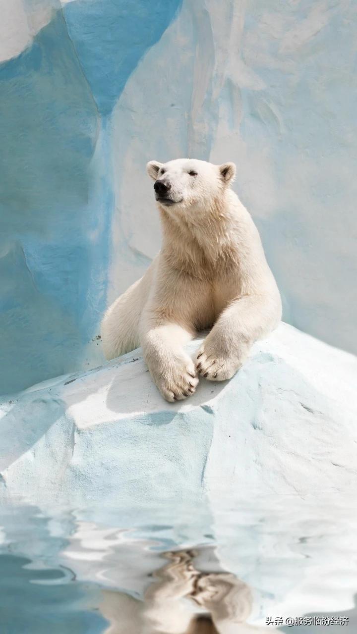 高温别舍不得开空调,高温别舍不得开空调图片