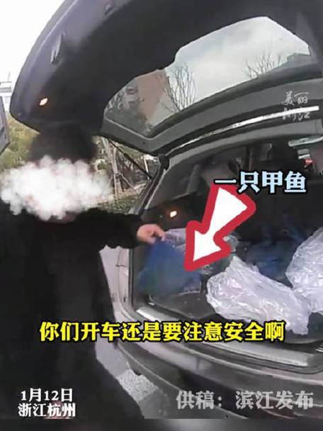 男孩坐后备箱数小时,甲鱼放后备箱一个多小时会憋死吗?