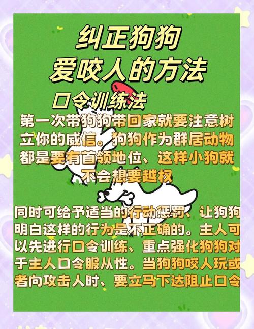 被狗咬后打伤女主人,一个女的狗把我咬了,我不咬狗,我咬狗的女主人,算不算正当防卫?