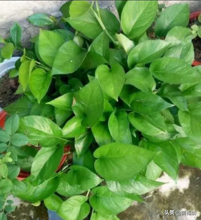 30年才知道丈夫工作,30年才知道丈夫工作怎么办 30年才知道丈夫工作,30年才知道丈夫工作怎么办