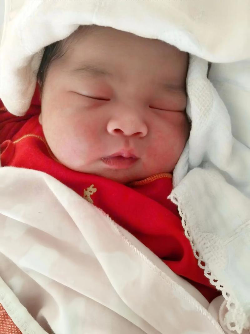 机上分娩女婴仅2斤,母猫4斤能生孩子吗?