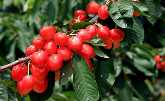 殡仪馆门卫要30以下,殡仪馆保安月休4天,9点上班6点下班,月薪7000元,能干吗? 殡仪馆门卫要30以下,殡仪馆保安月休4天,9点上班6点下班,月薪7000元,能干吗?