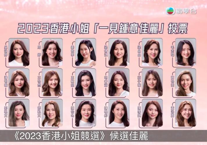 香港小姐14强高学历,香港小姐14强高学历是谁