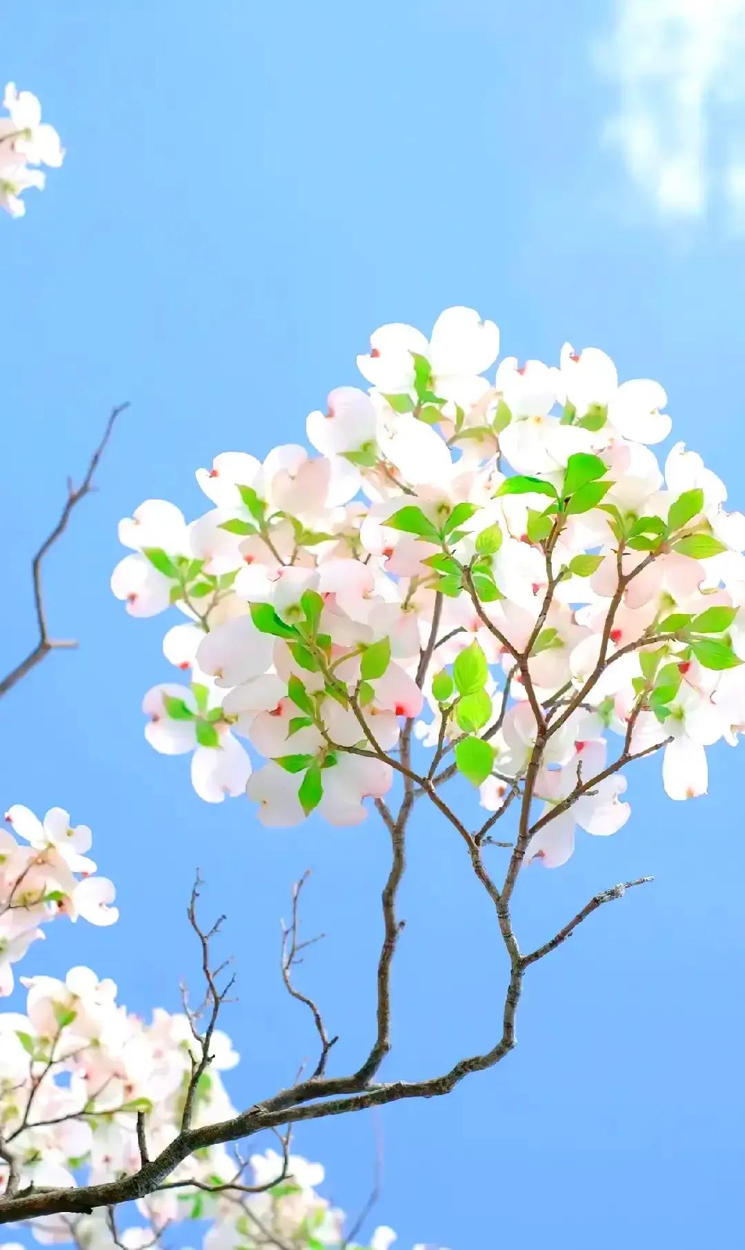 30年才知道丈夫工作,老公三十多了,都还没有个正儿八经的工作,成天就知道玩手机,我该怎么办? 30年才知道丈夫工作,老公三十多了,都还没有个正儿八经的工作,成天就知道玩手机,我该怎么办?