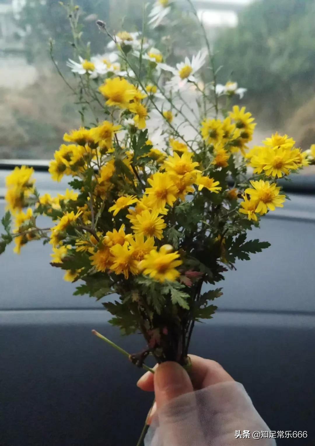 亲人离世平台拒退票,父亲去世,他的亲兄弟姐妹群,工作群很快就把他微信踢出去了,我觉得很心寒,大家怎么看待这种情况? 亲人离世平台拒退票,父亲去世,他的亲兄弟姐妹群,工作群很快就把他微信踢出去了,我觉得很心寒,大家怎么看待这种情况?