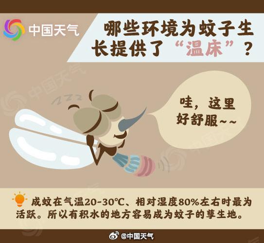 蚊子最爱的7类人,蚊子最爱咬哪几种人?