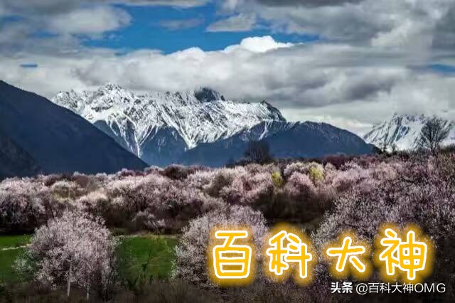 6万租房甲醛超标2倍,住里面住了六年房子,甲醛苯还超标十几倍,怎么办? 6万租房甲醛超标2倍,住里面住了六年房子,甲醛苯还超标十几倍,怎么办?