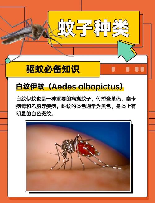 蚊子最爱的7类人,蚊子喜欢咬哪几种人?