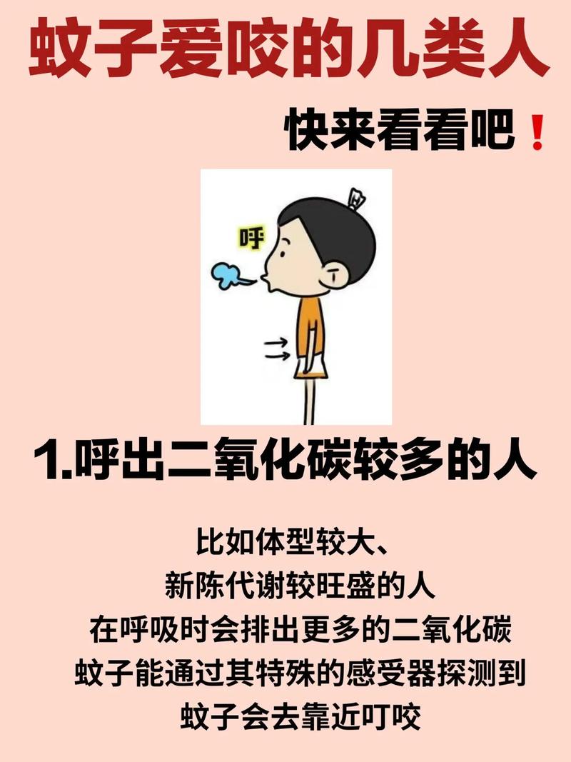 蚊子最爱的7类人,蚊子最爱的7类人是谁